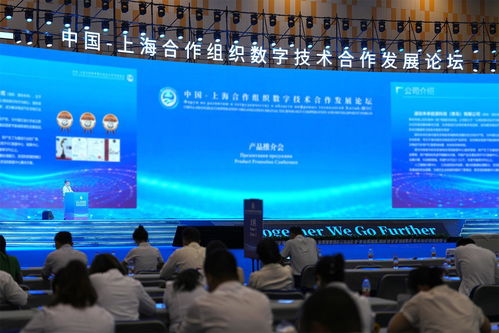 以 上合 為媒 共繪合作發(fā)展新圖景 技術(shù)服務(wù)的驅(qū)動與未來