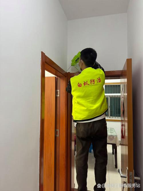 溧陽白蟻防治全指南 專業(yè)服務與咨詢電話詳解